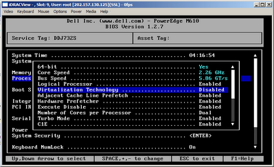 BIOS virtualization option
