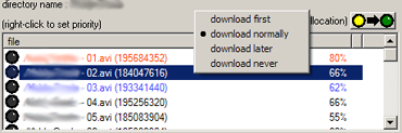 Screenshot of BitTornado file download priority system in action