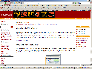 Screenshot of full Firefox window pointing out relative smallness of buttons