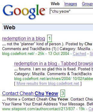 Screenshot of Google search results with Search Keys in action