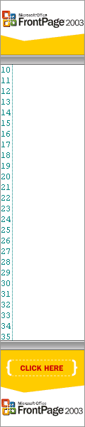 Microsoft FrontPage 2003 ad