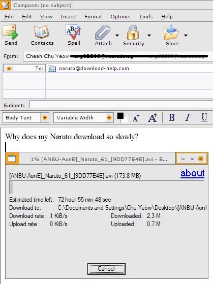 Screenshot of a email message with a pasted image