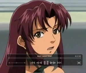 VLC full screen controller panel